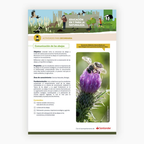 Comunicación de las abejas